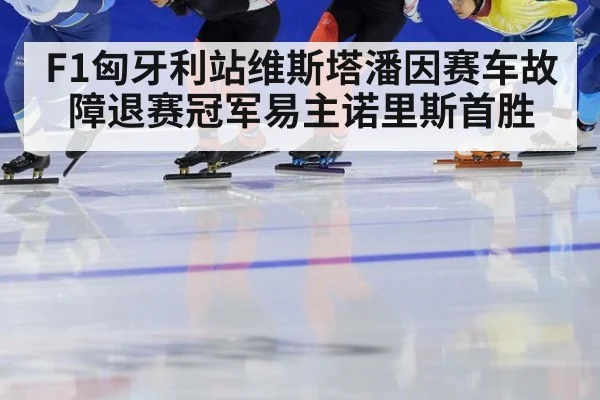 F1匈牙利站维斯塔潘因赛车故障退赛冠军易主诺里斯首胜